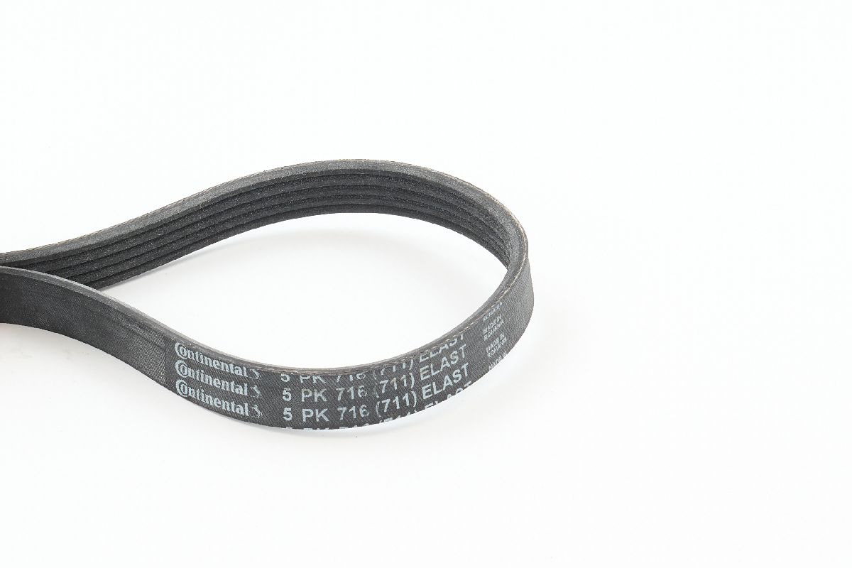 CONTITECH CINGHIA PV ELASTICHE (5^)